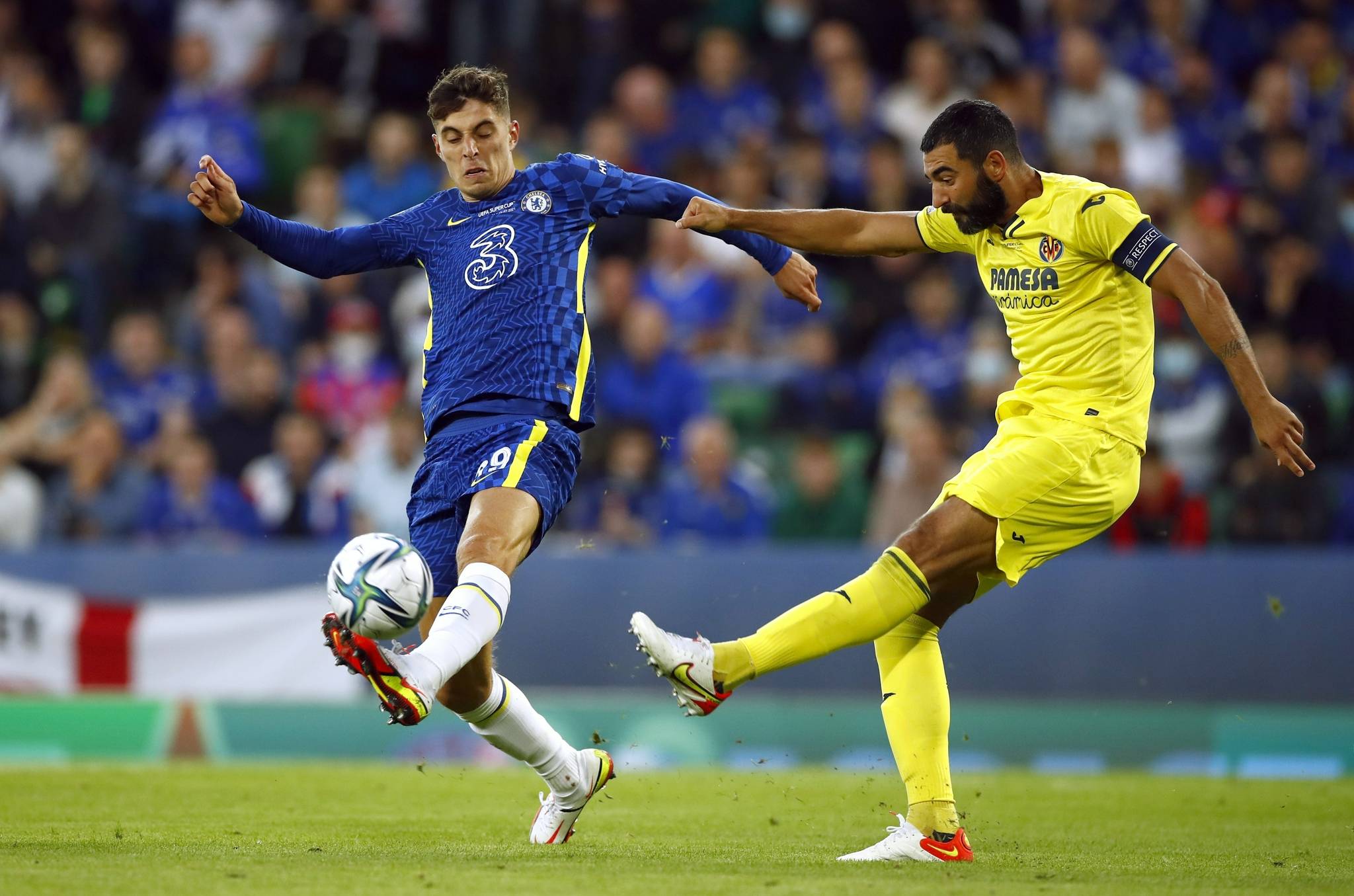 尔未来几轮 尔未来几轮